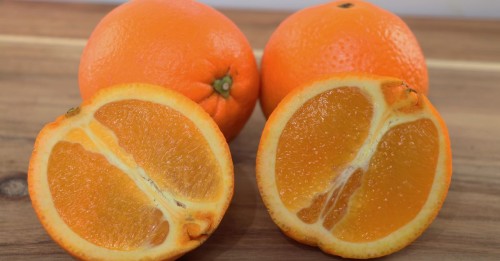 Апельсин сорт Вашингтон Навел