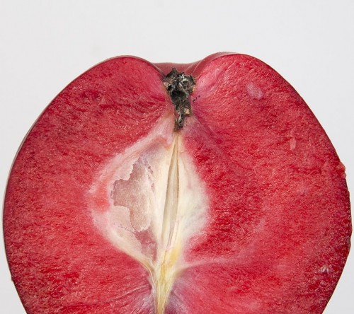 Яблоня с красной мякотью сорт  Калипсо